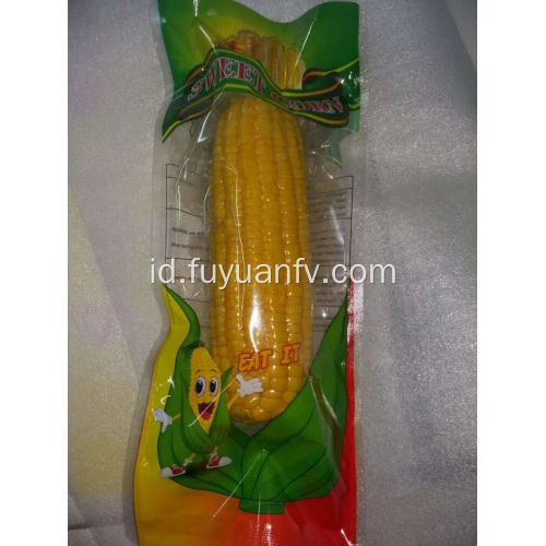 jagung manis segar organik